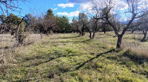 Foto 2 de Terreno en venta en N/a, -1, Lledó, Teruel