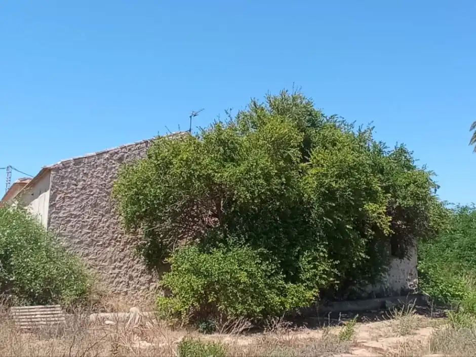 Rural land for sale in Partida Torrejón de San Bruno 52, imagen 4