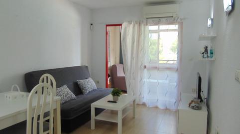 Foto 4 de Apartament de lloguer a Juzgados - Plaza de Toros, Alicante