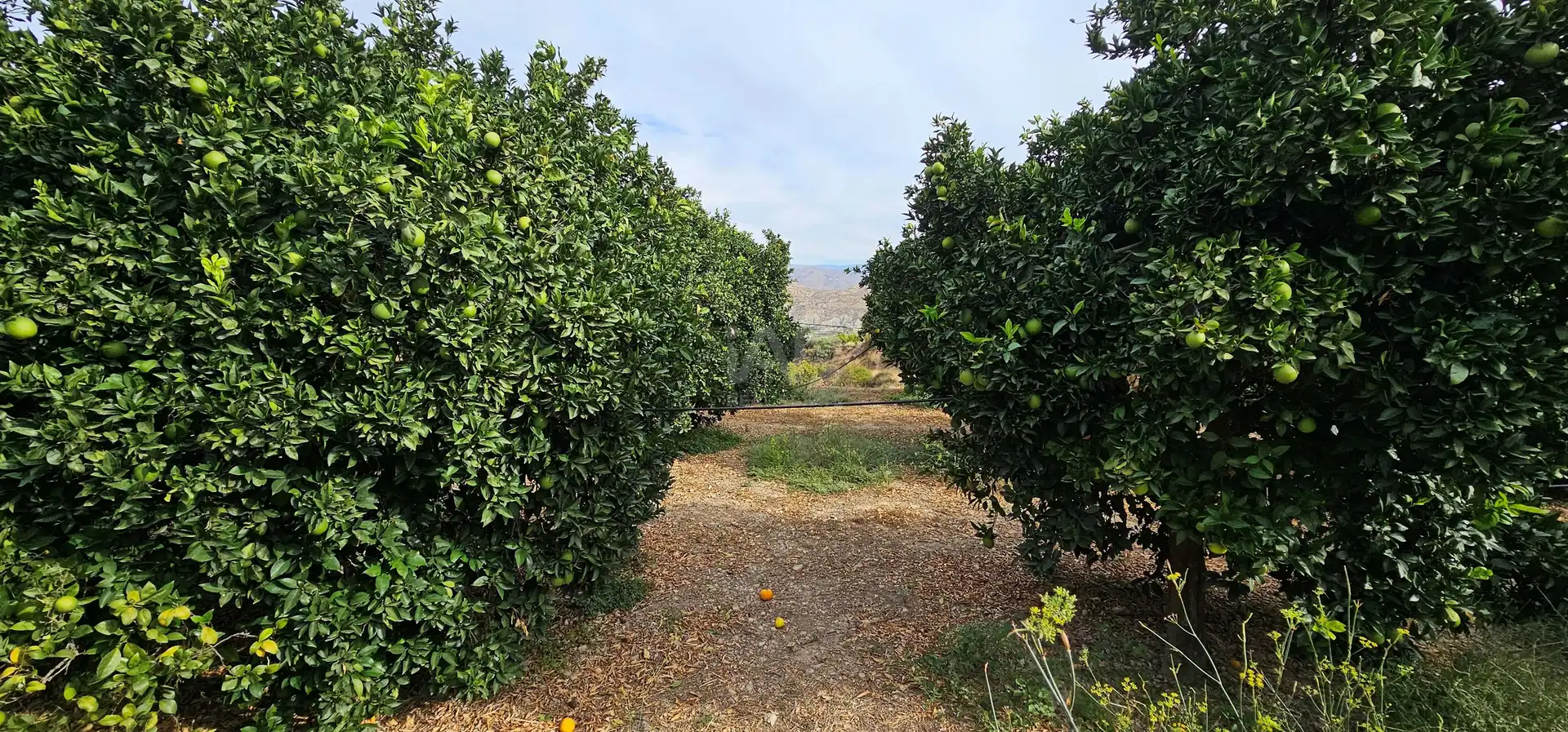 Residencial en venta en Íllar