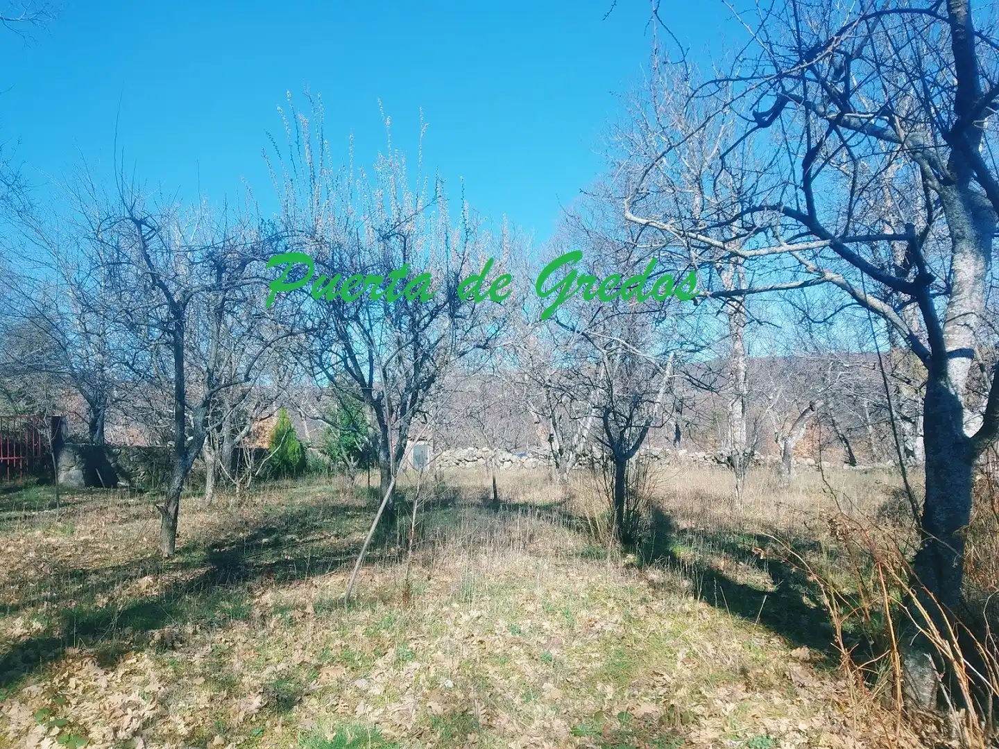 Land for sale in Nava del Barco