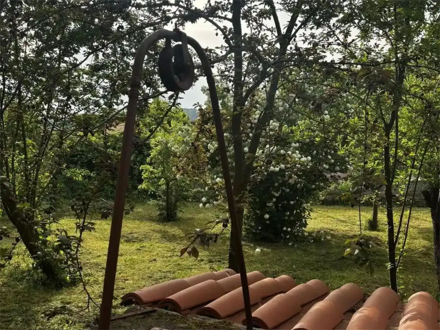 Garten von Wohnung zur Miete in Allariz mit Balkon