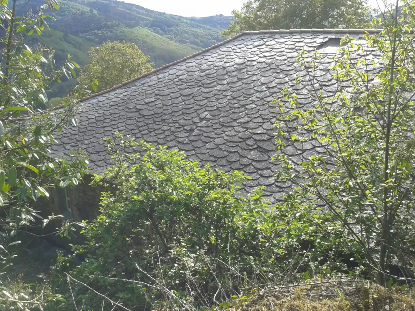 Vista exterior de Pis en venda en A Fonsagrada  amb Jardí privat