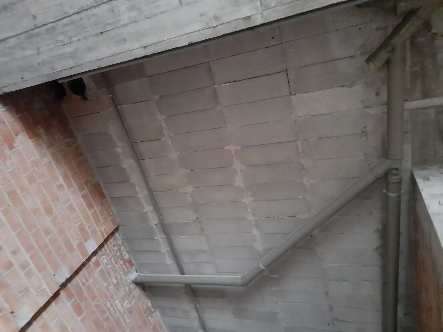 Local comercial en alquiler en Txorierri - Ondiz - Udondo, imagen 5