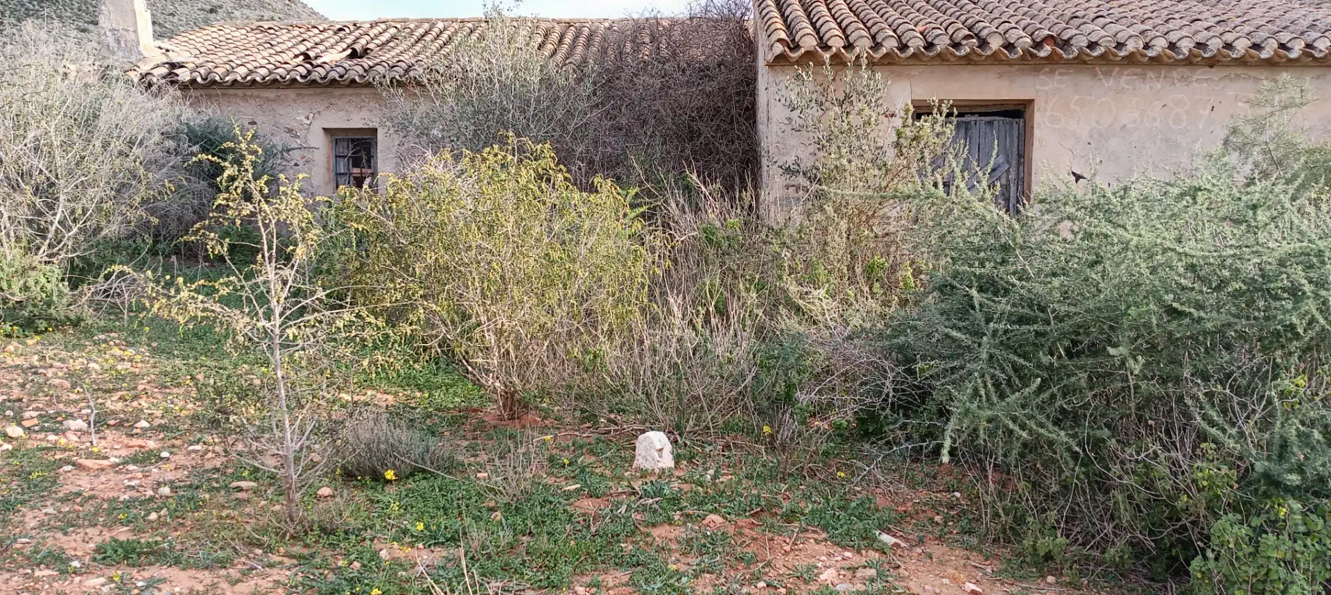 Maison rustique à vendre à Pedanías Oeste