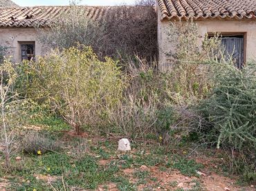 Casa rustica in vendita a Pedanías Oeste