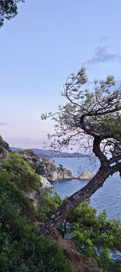 Terrenos y solares en venta en Lloret Residencial - Montlloret, imagen 3