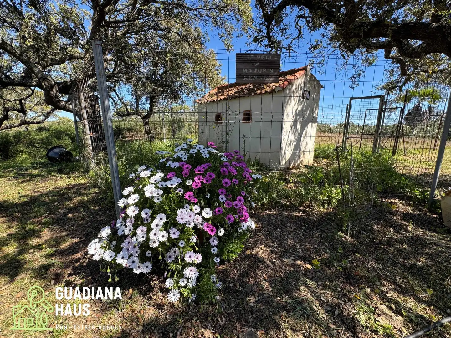 Garden of Country homes for sale in San Silvestre de Guzmán