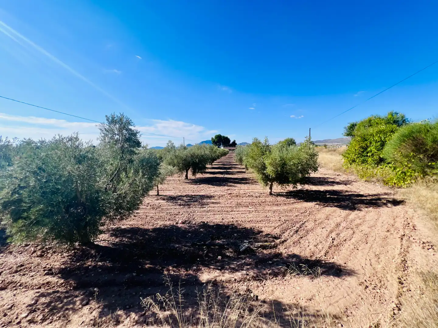 Country homes for sale in Castalla, Alicante