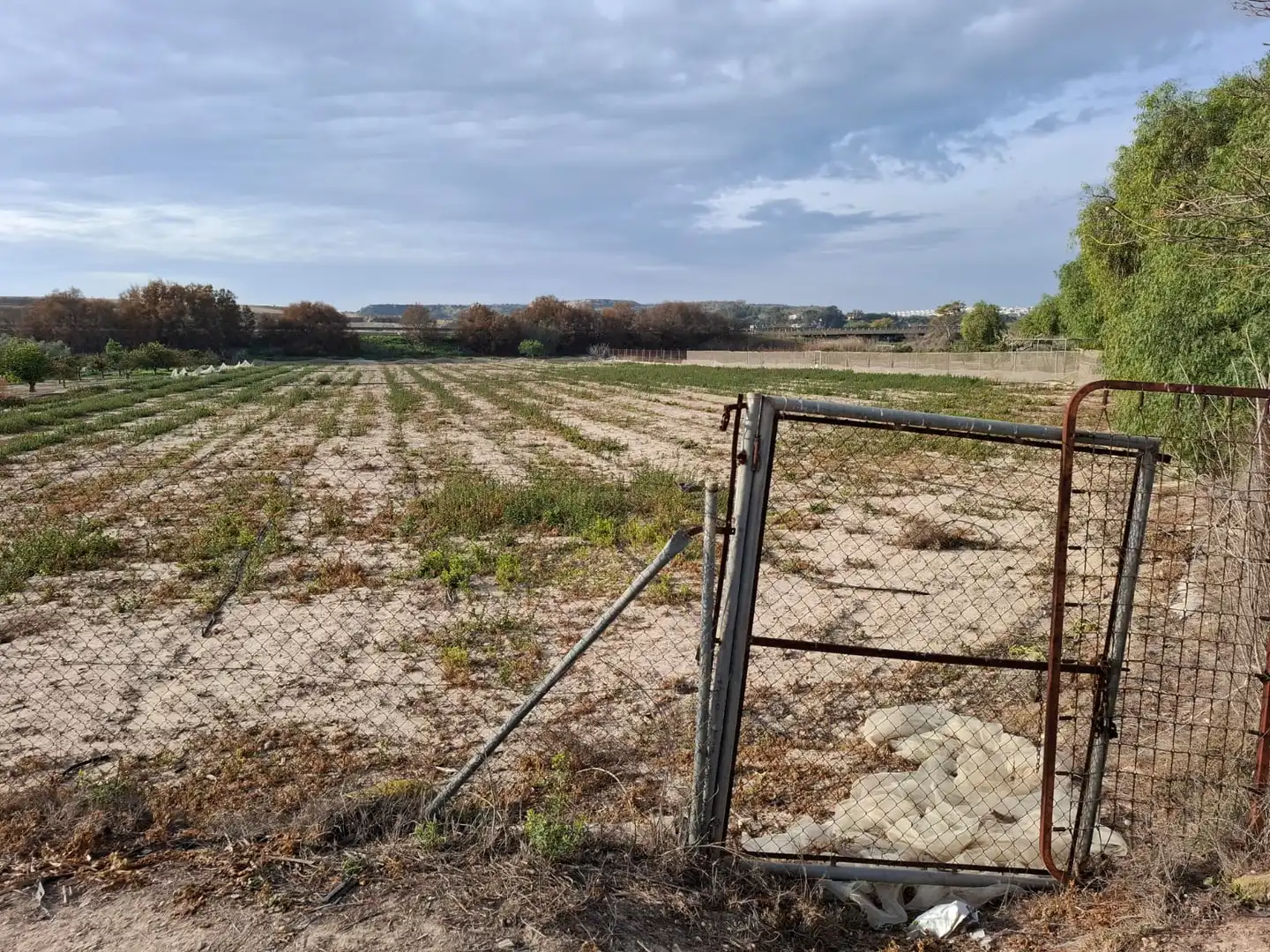 Terreno en venta en Guardamar del Segura