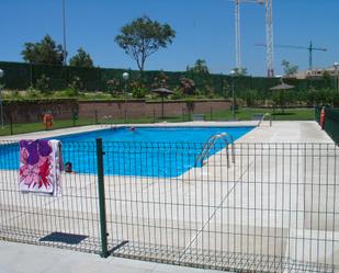 Swimming pool of Flat to rent in  Madrid Capital  with Air Conditioner, Heating and Storage room