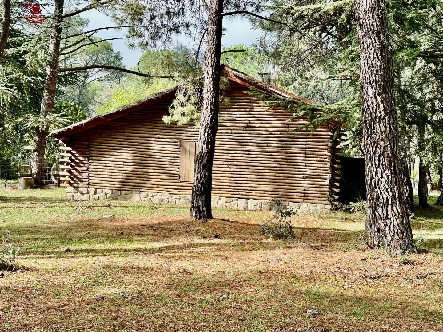 Terreno rustico in vendita a Los Molinos, imagen 10