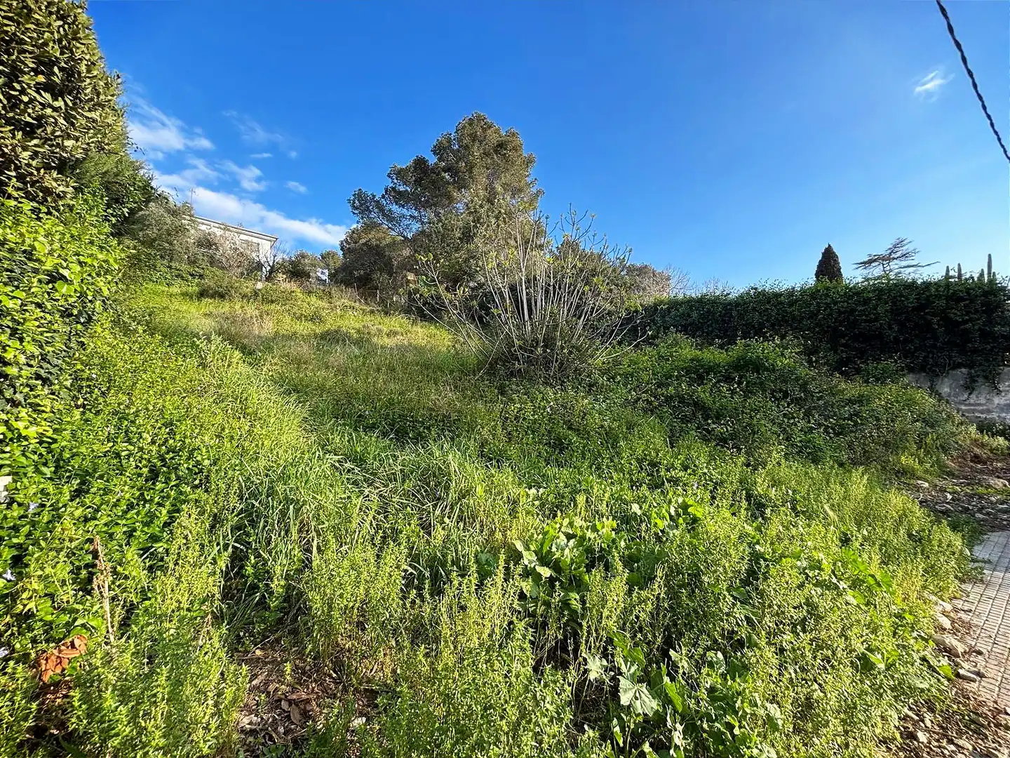 Terreno residencial en venta en Canyelles, imagen 14