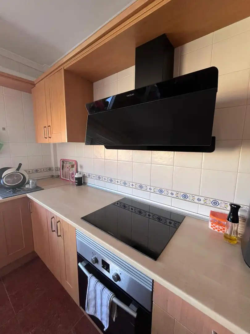 Kitchen of Apartments for rent in Roquetas de Mar  with Air Conditioner, Terrace and Furnished