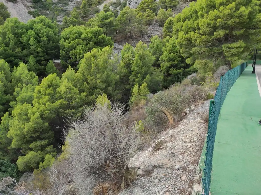 Terrain résidentiel à vendre à PRINCIPAL DE LA SIERRA, imagen 11