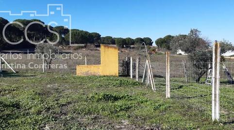 Foto 4 de Finca rústica en venta en Almonte ciudad, Huelva