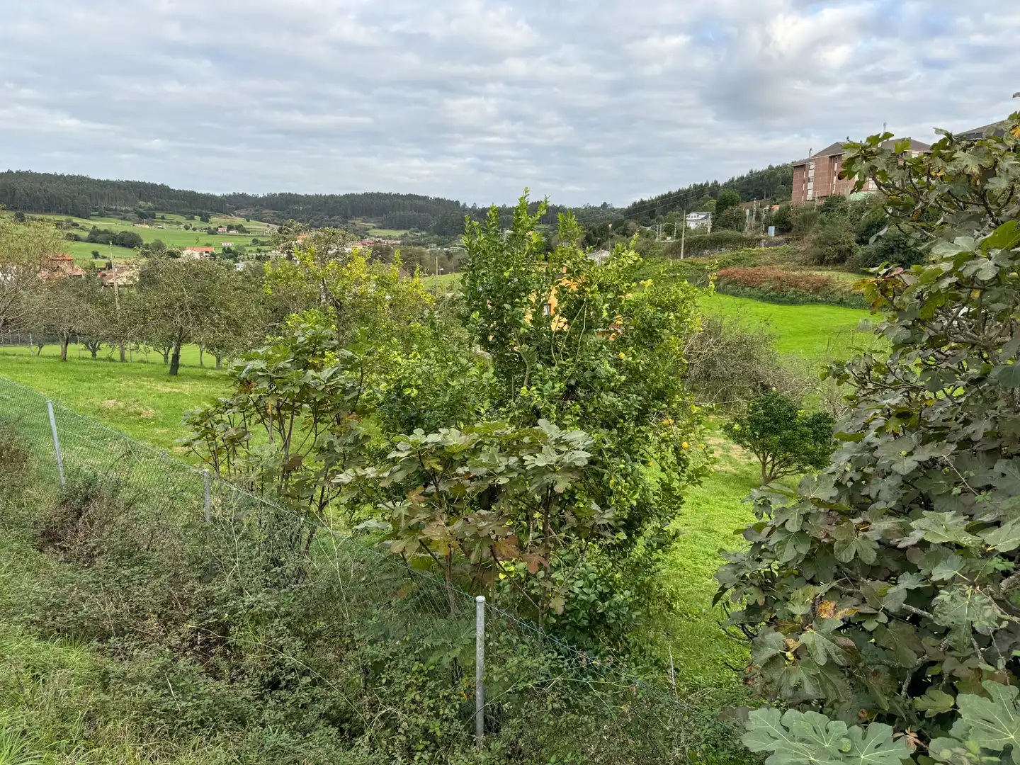 Lands and plots for sale in Lugar de La Florida 20, imagen 19