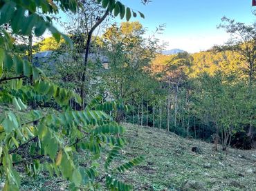 Terreno residenziale in vendita a Carrer de Magarola 28