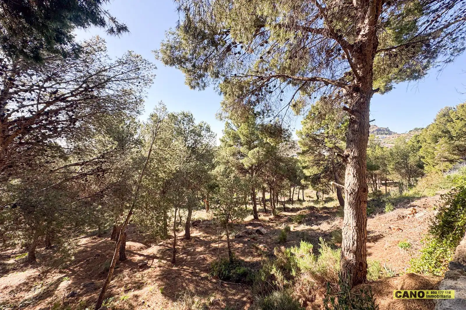 Casa o xalet en venda en Felix amb Aire condicionat, Calefacció i Terrassa