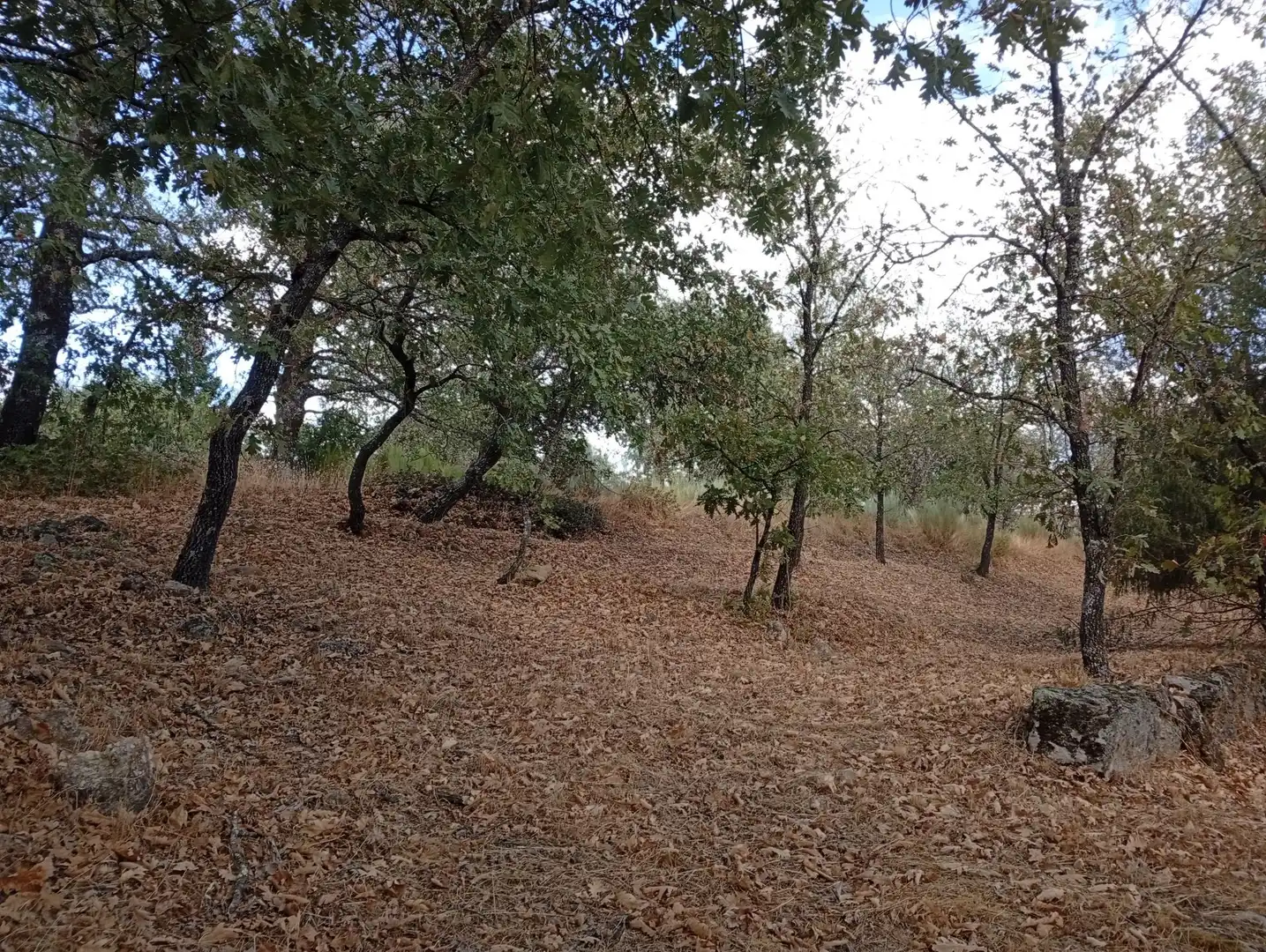 Terreni e lotti in vendita a Villanueva de la Vera, imagen 113
