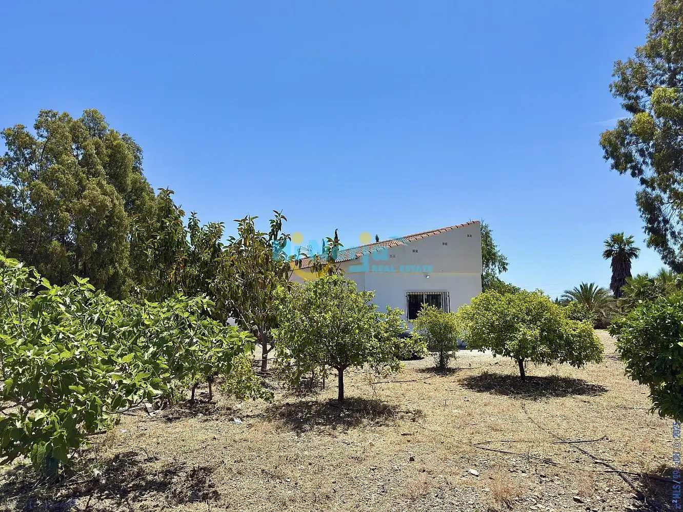 Vista exterior de Finca rústica en venta en Vélez-Málaga