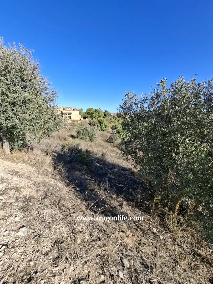 Finca rústica en venta en Caspe
