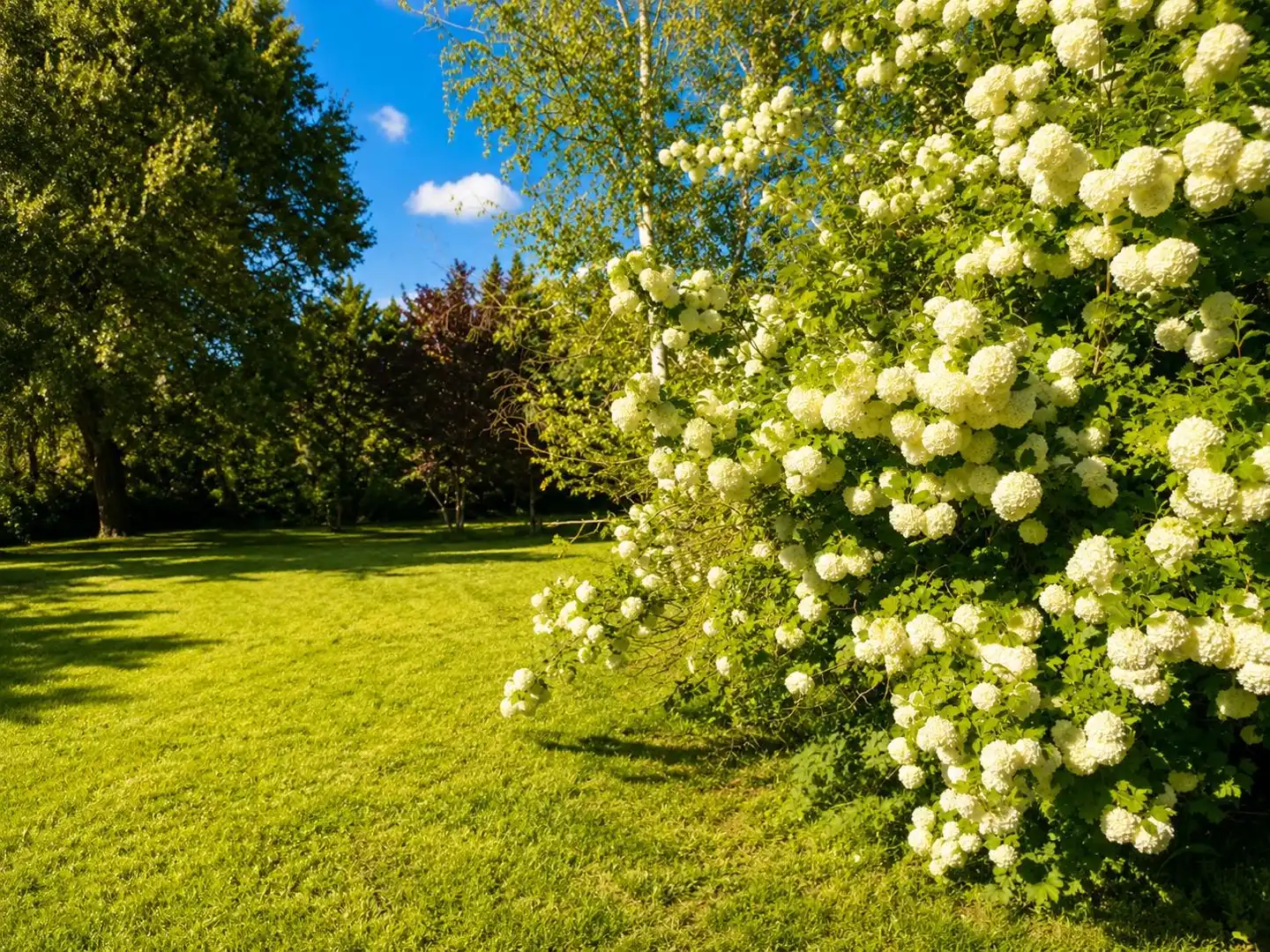 Jardín de Casa o chalet en venta en Prades con Calefacción, Jardín privado y Terraza