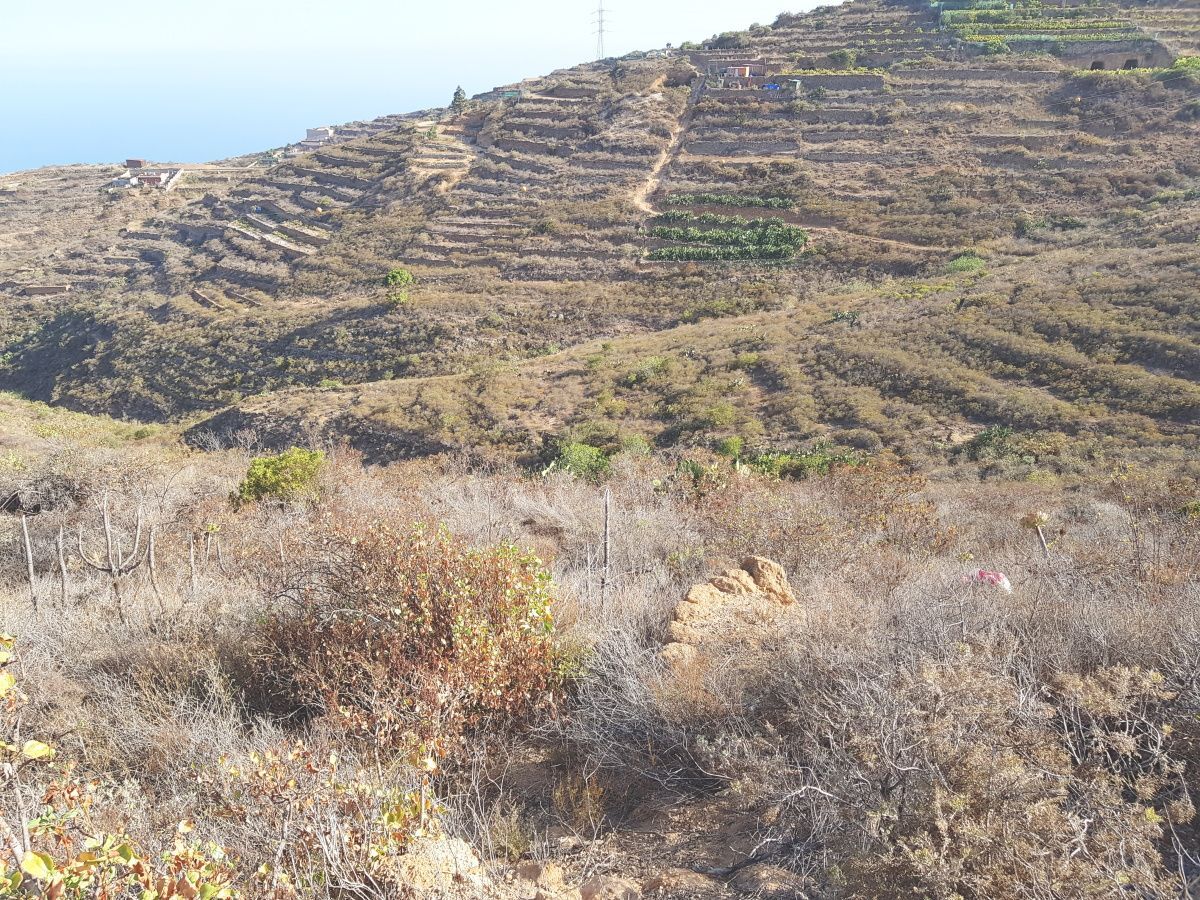 Land for sale in Güímar