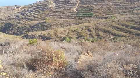 Photo 3 of Land for sale in Vial Camino Camino de Anocheza, 2, El Escobonal - Pájara, Güímar