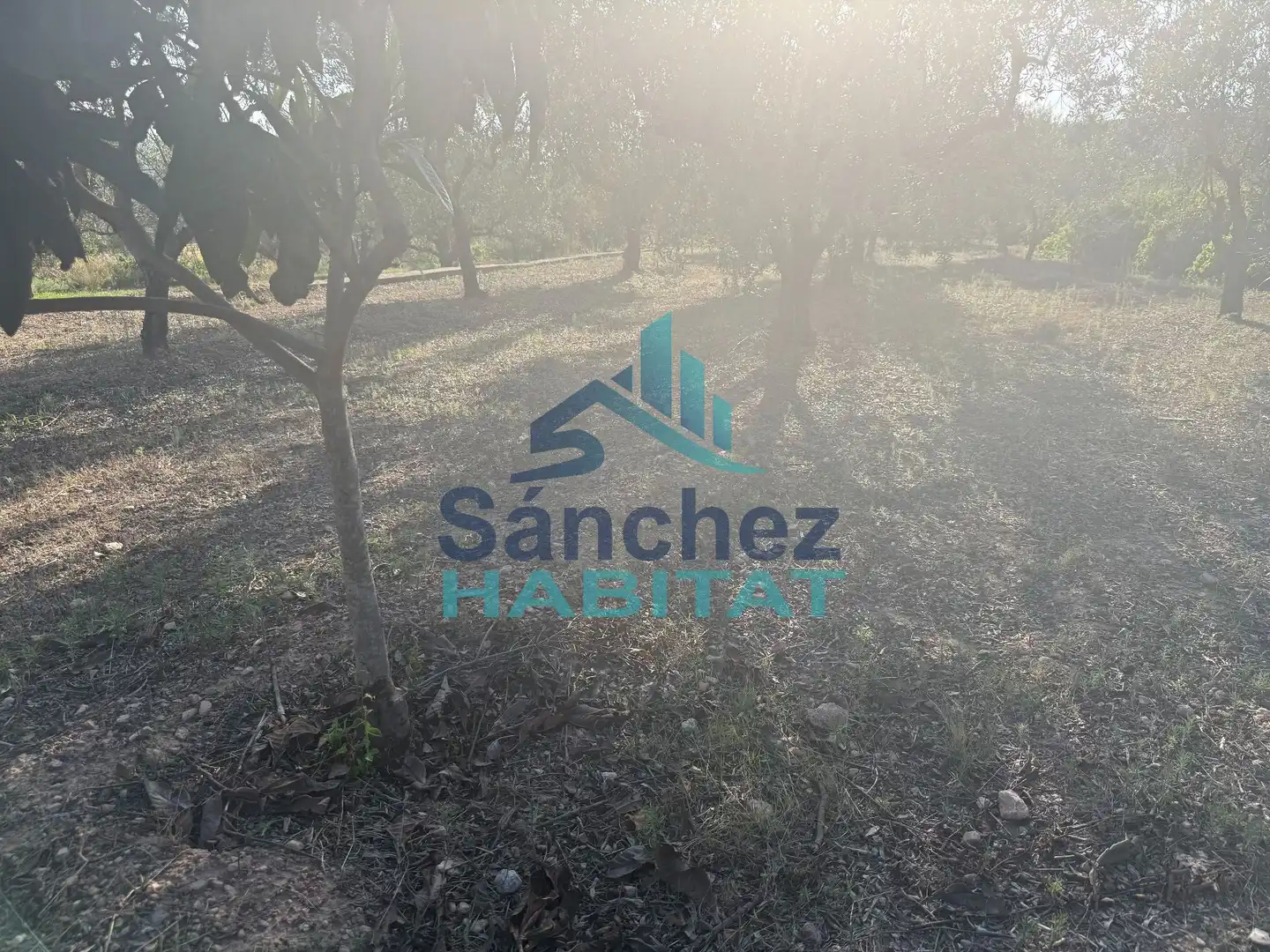 Houses for sale in Chelva  with Private garden, Terrace and Storage room