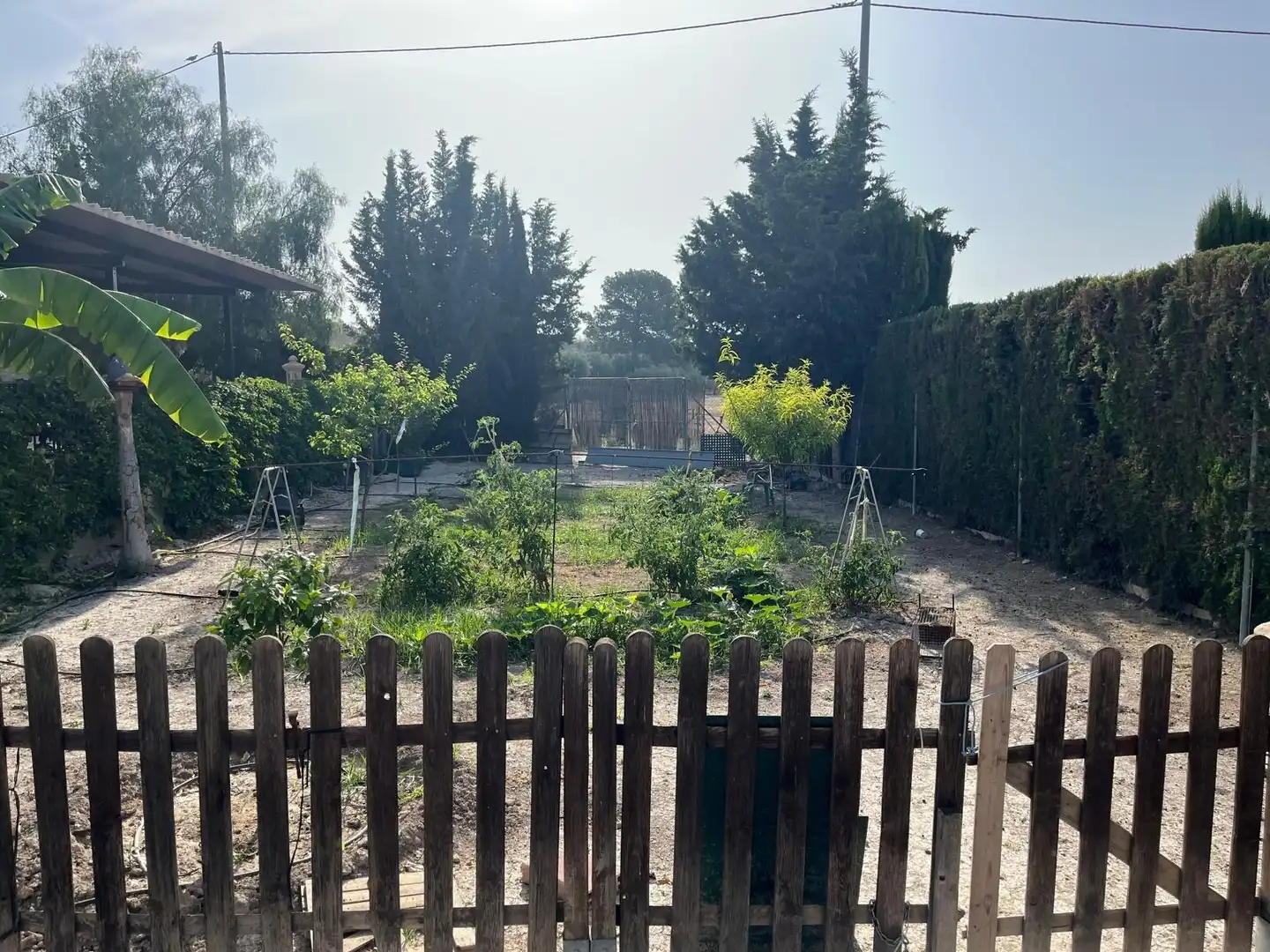 Jardín de Casa o chalet en venta en Murcia con Aire acondicionado, Calefacción y Terraza