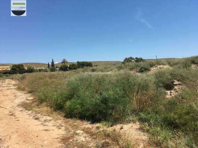 Terreno residencial en Alquiler en Elche - Carretera Carretera nacional, 340 en Torrellano