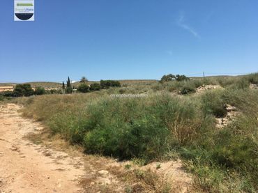 Rural land to rent in Elche - Carretera Carretera nacional 340