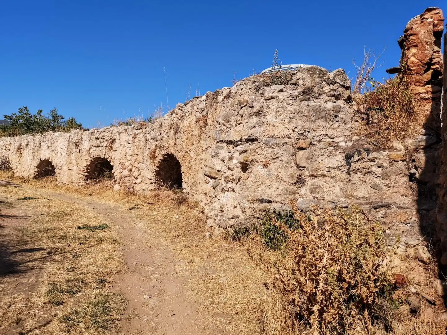 Terreny rústic en venda a PAGO ACEQUIA BAJA Polígono 11 Parcela 174 11, imagen 6