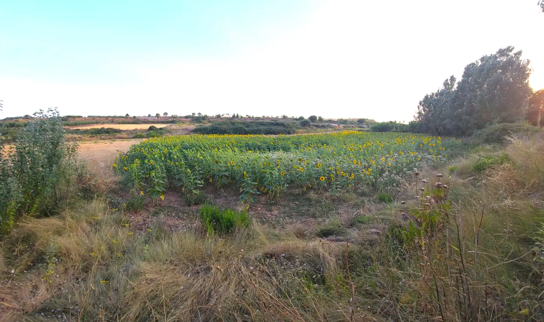 Terreny rústic en venda a Villamediana de Iregua, imagen 3
