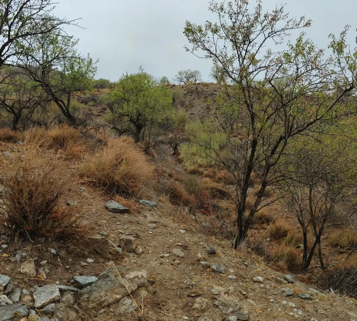 Residencial en venda en Sierro