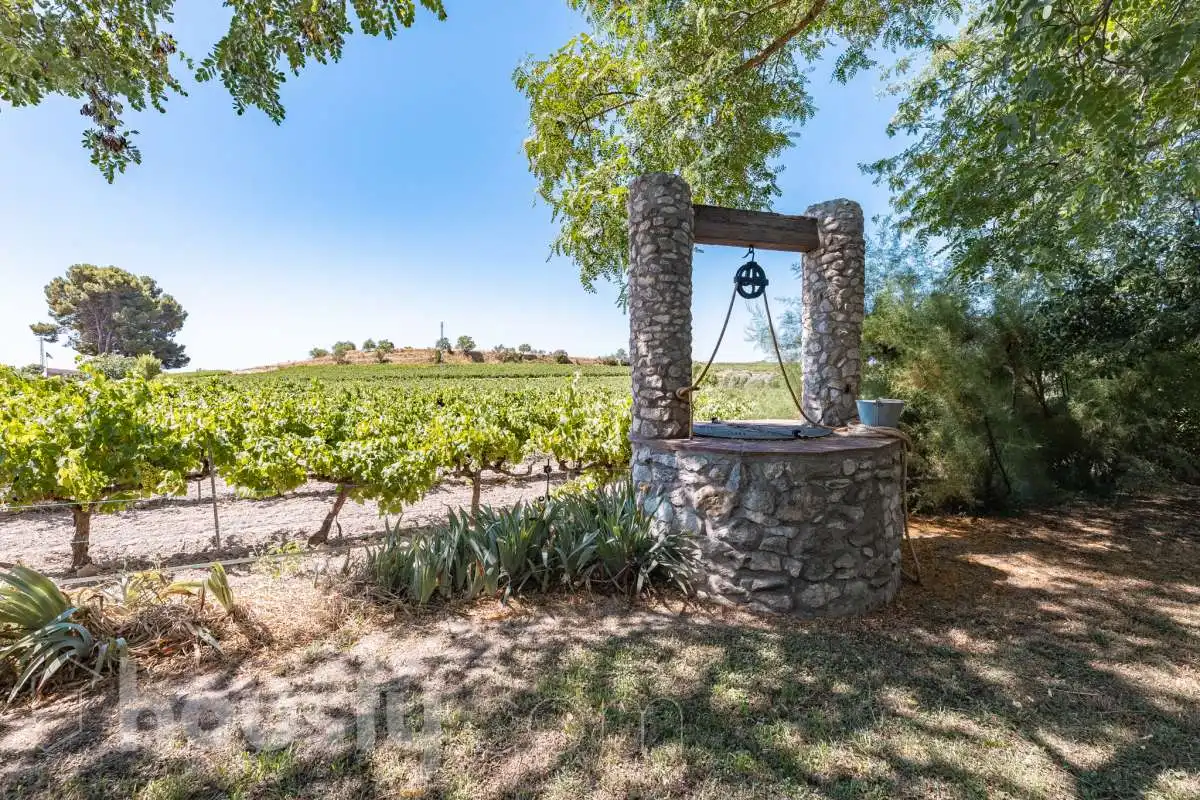 Vista exterior de Casa o chalet en venta en Castellví de la Marca con Jardín privado, Terraza y Trastero