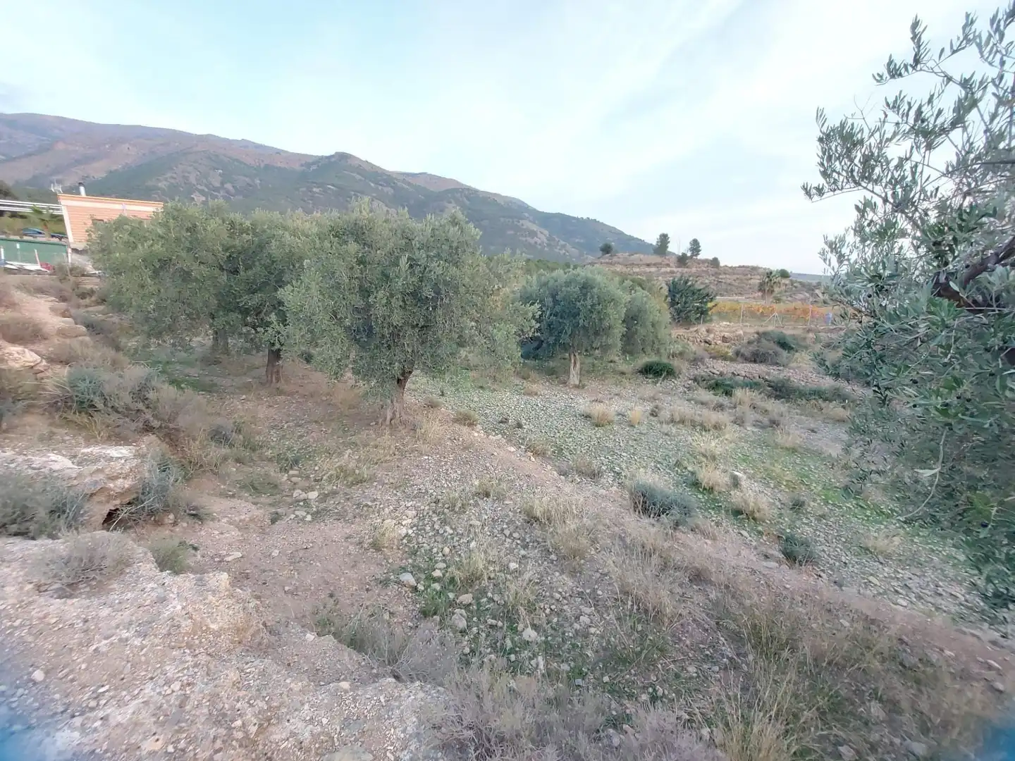 Terreno residencial en venta en Berja, imagen 3