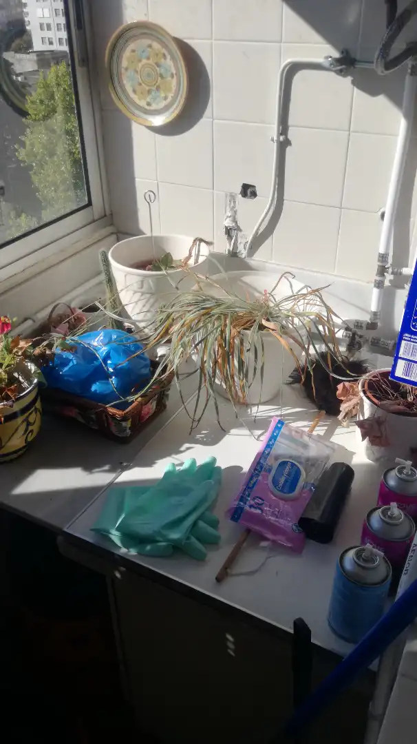 Garten von Wohnung zum Verkauf in Sardoma - Castrelos