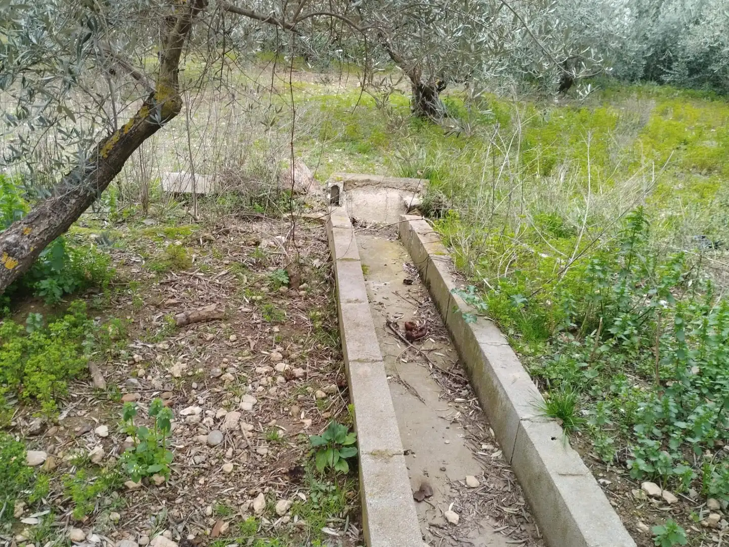 Terreni e lotti in vendita a Camino del cerro poligono 3 parcela, imagen 12