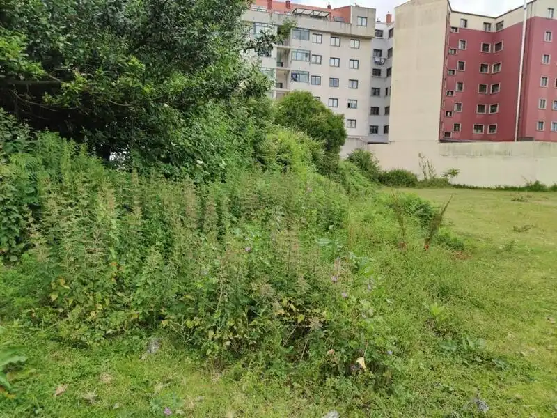 Terreny residencial en venda a FONTE DA MOUREIRA (DA) 8, imagen 8