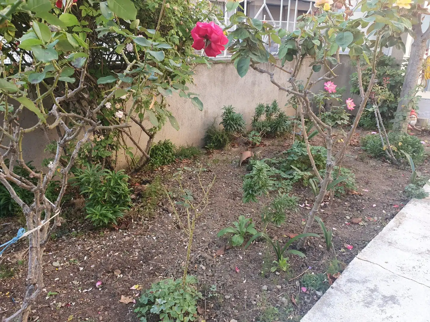 Garden of Houses for rent in Mollet del Vallès  with Heating, Private garden and Parquet flooring