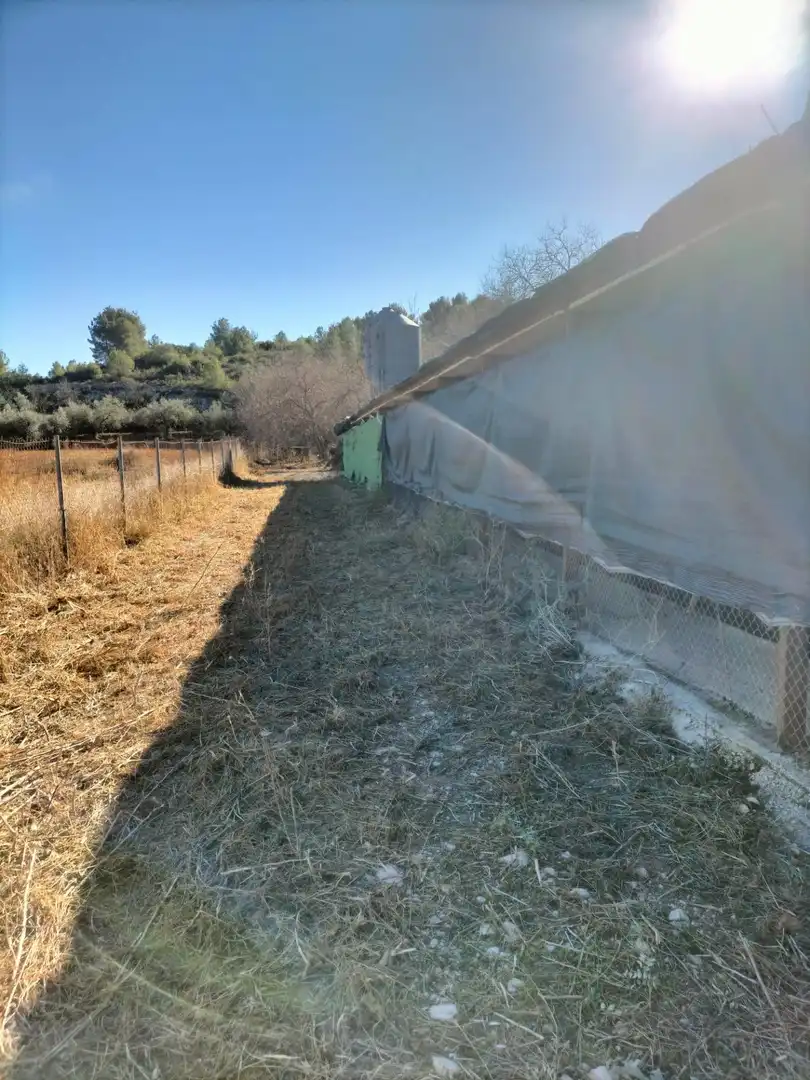 Commercial properties for sale in Navarrés