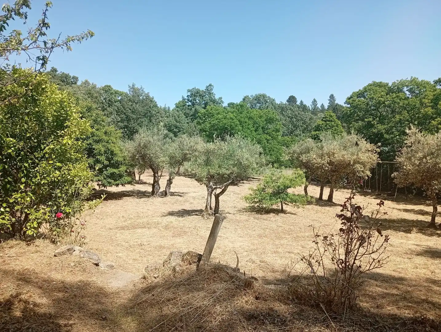Terreni e lotti in vendita a Villanueva de la Vera, imagen 38