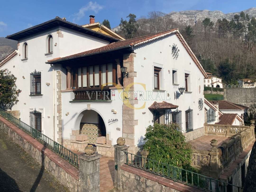 House or chalet for sale in Barrio San Roque, Peñamellera Alta
