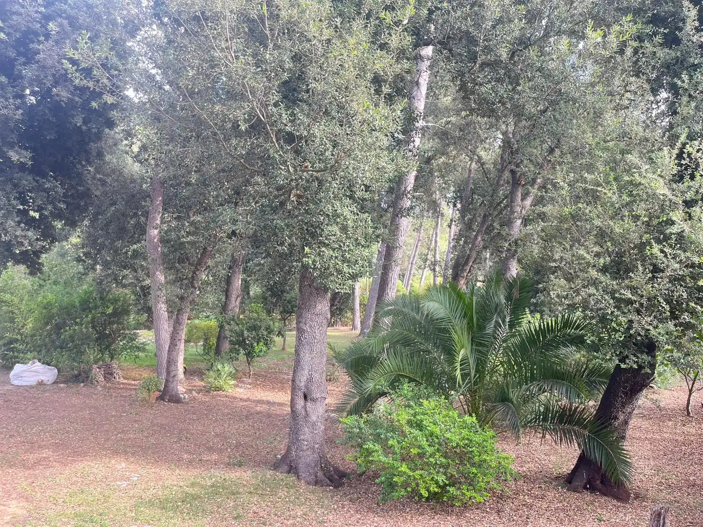 House with terrace for sale in Sa Pobla, imagen 15