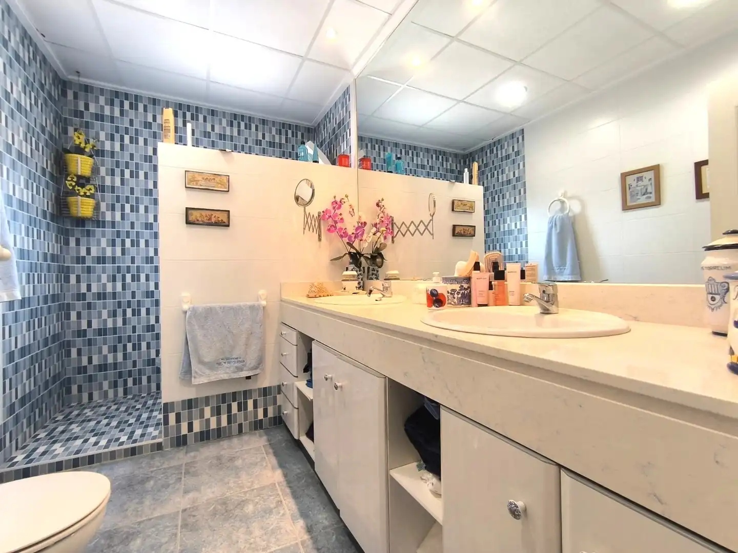 Haus mit Pool zum Verkauf in Las Virtudes, imagen 10