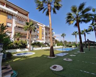 Swimming pool of Flat to rent in Motril  with Terrace and Swimming Pool