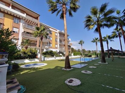 Schwimmbecken von Wohnung miete in Motril mit Terrasse und Schwimmbad