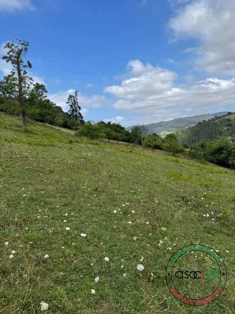 Terreny en venda en Villaviciosa